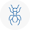 Ant Removals In Beaconsfield