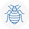 Bed Bug Extermination In Beaconsfield