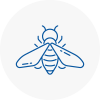 Bee Nest Removal Beaconsfield