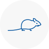 Mice Exterminators In Beaconsfield