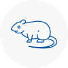 Rat Control Beaconsfield