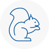 Beaconsfield Rodent Removals